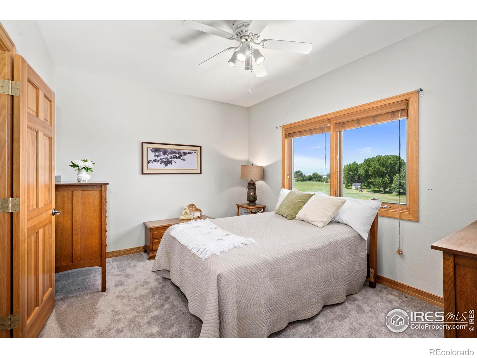 MLS Image #22 for 39224  longs peak court,severance, Colorado