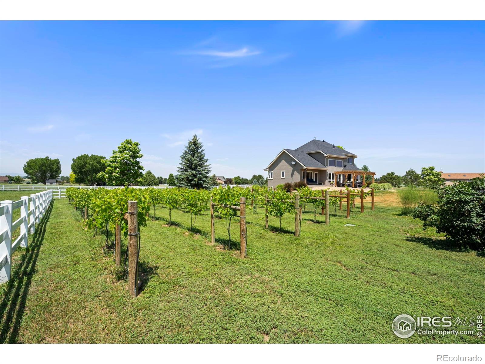 MLS Image #25 for 39224  longs peak court,severance, Colorado