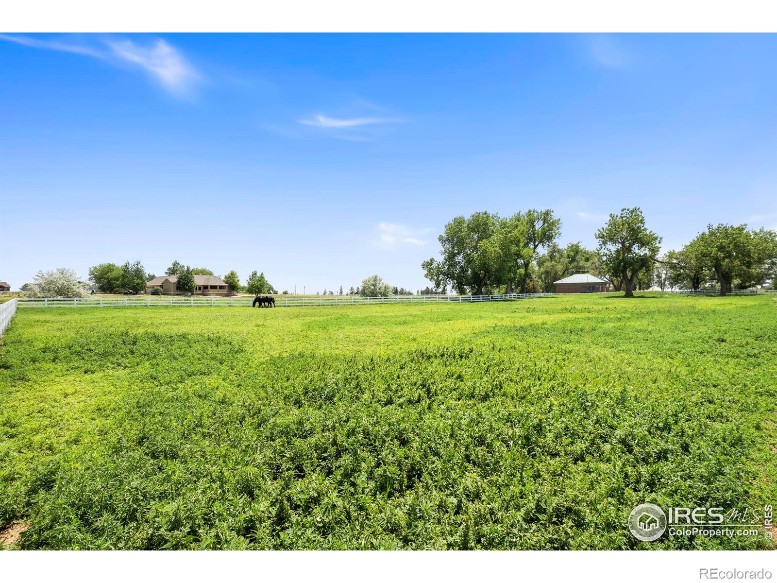 MLS Image #36 for 39224  longs peak court,severance, Colorado