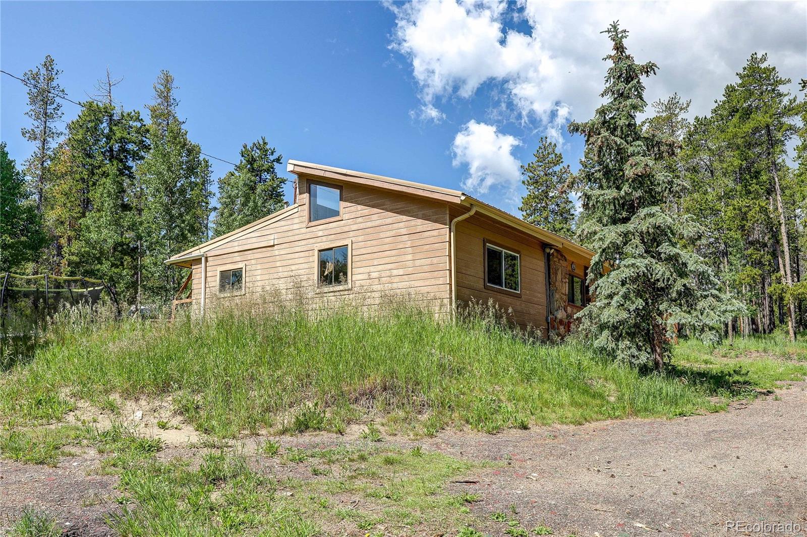 MLS Image #20 for 10893  milliken avenue,conifer, Colorado