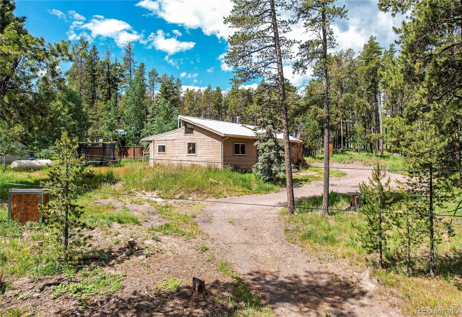 MLS Image #3 for 10893  milliken avenue,conifer, Colorado