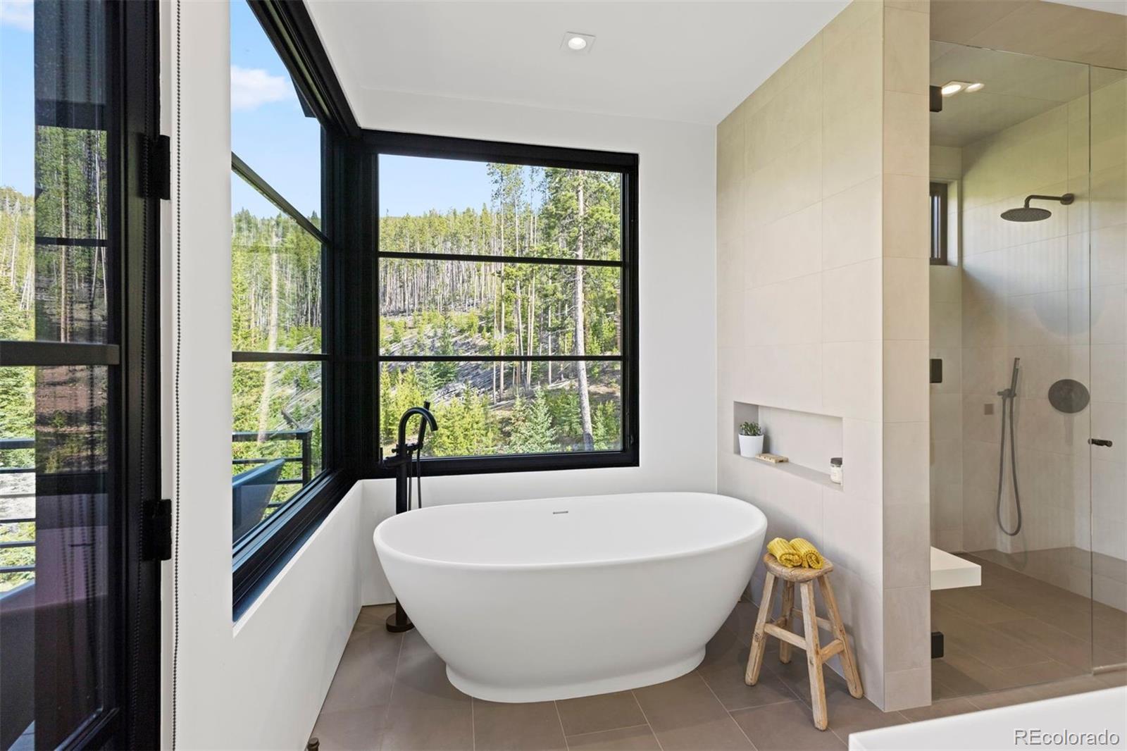 MLS Image #19 for 586  discovery hill drive,breckenridge, Colorado