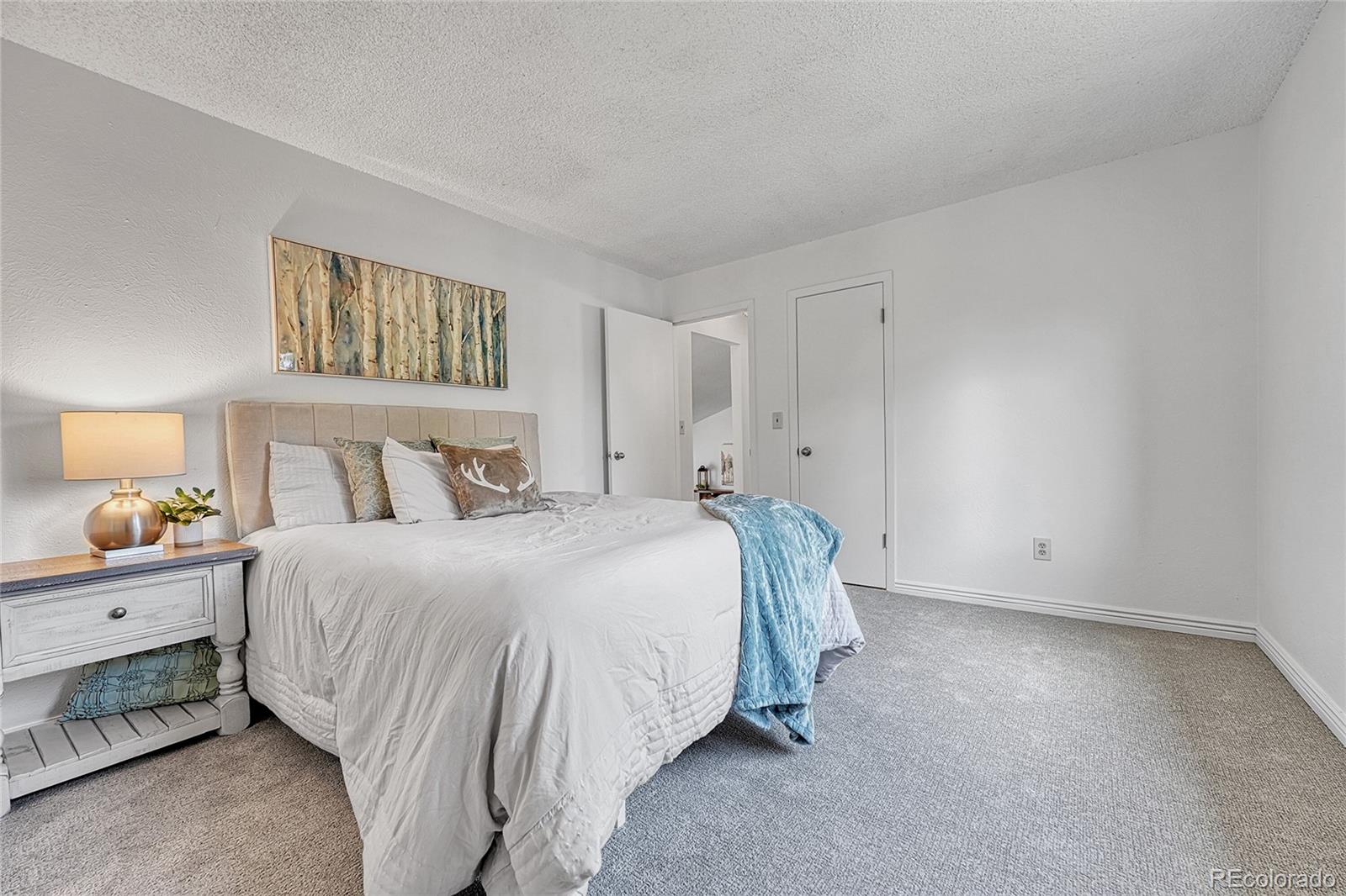 MLS Image #4 for 4726 s taft street,morrison, Colorado