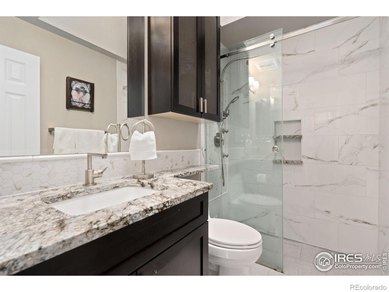 MLS Image #12 for 612  warren lndg,fort collins, Colorado