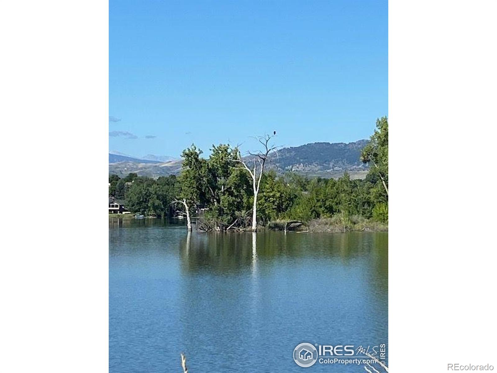 MLS Image #23 for 612  warren lndg,fort collins, Colorado