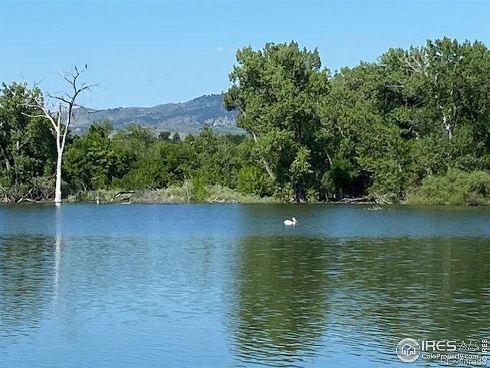 MLS Image #26 for 612  warren lndg,fort collins, Colorado