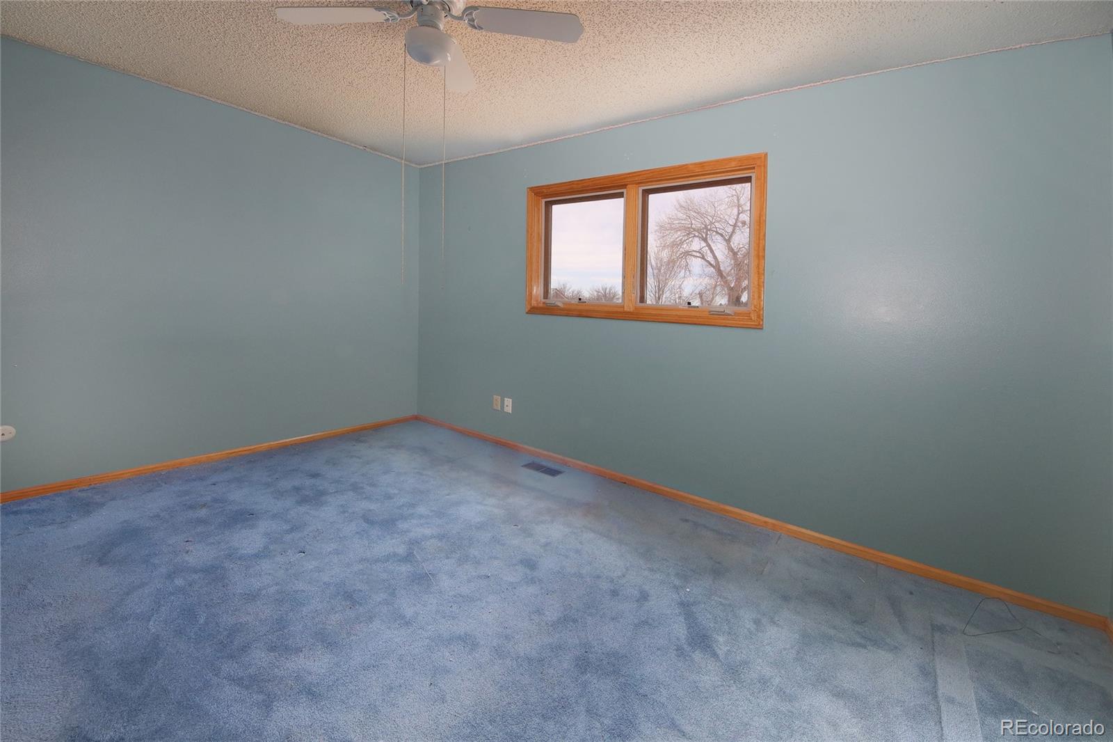MLS Image #15 for 7280  fortman terrace,fountain, Colorado