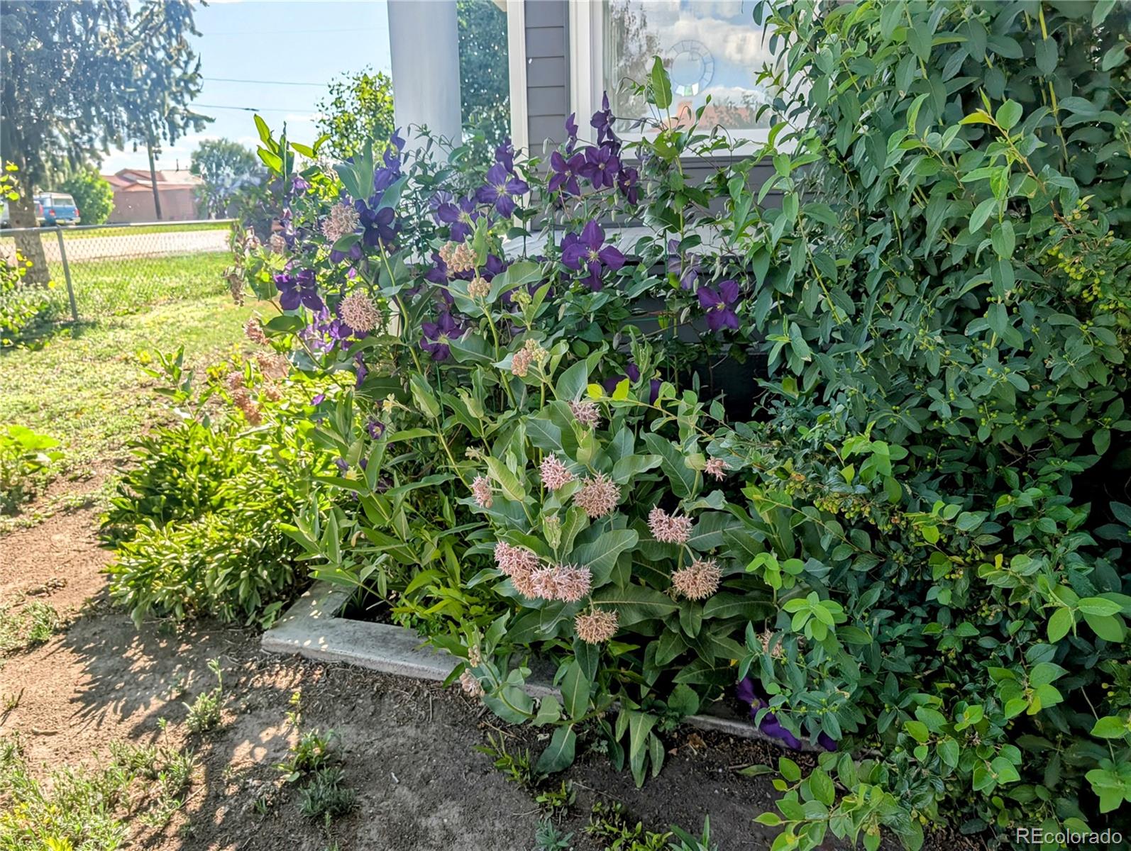 MLS Image #24 for 621  walnut street,la jara, Colorado