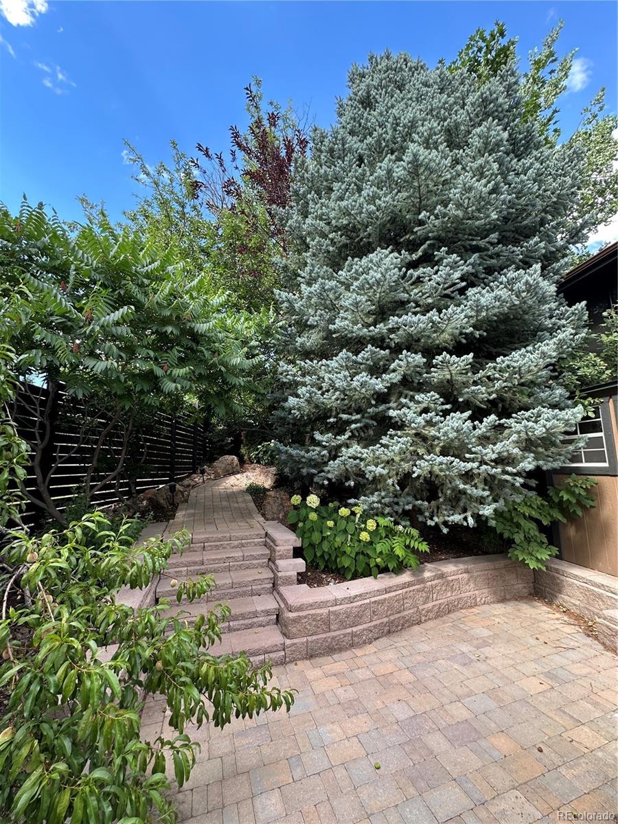 MLS Image #36 for 7454  queen circle,arvada, Colorado