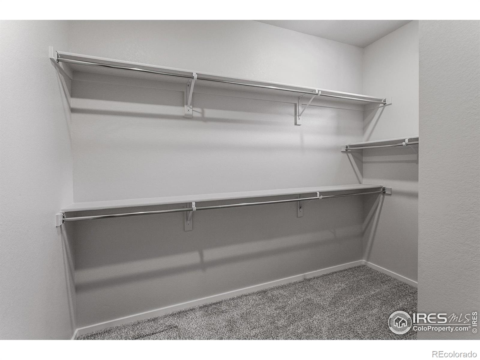 MLS Image #19 for 2714  barnstormer street,fort collins, Colorado
