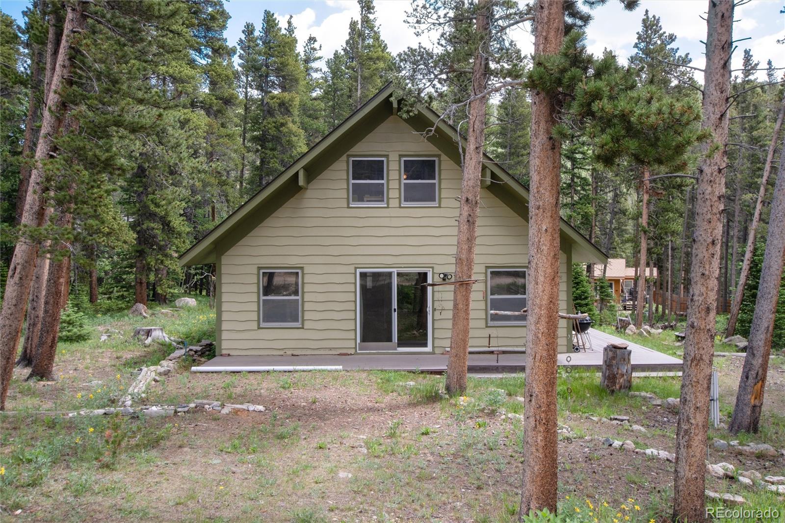 MLS Image #1 for 178  elk road,idaho springs, Colorado