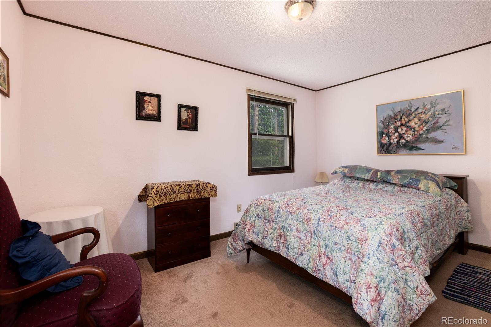 MLS Image #11 for 178  elk road,idaho springs, Colorado