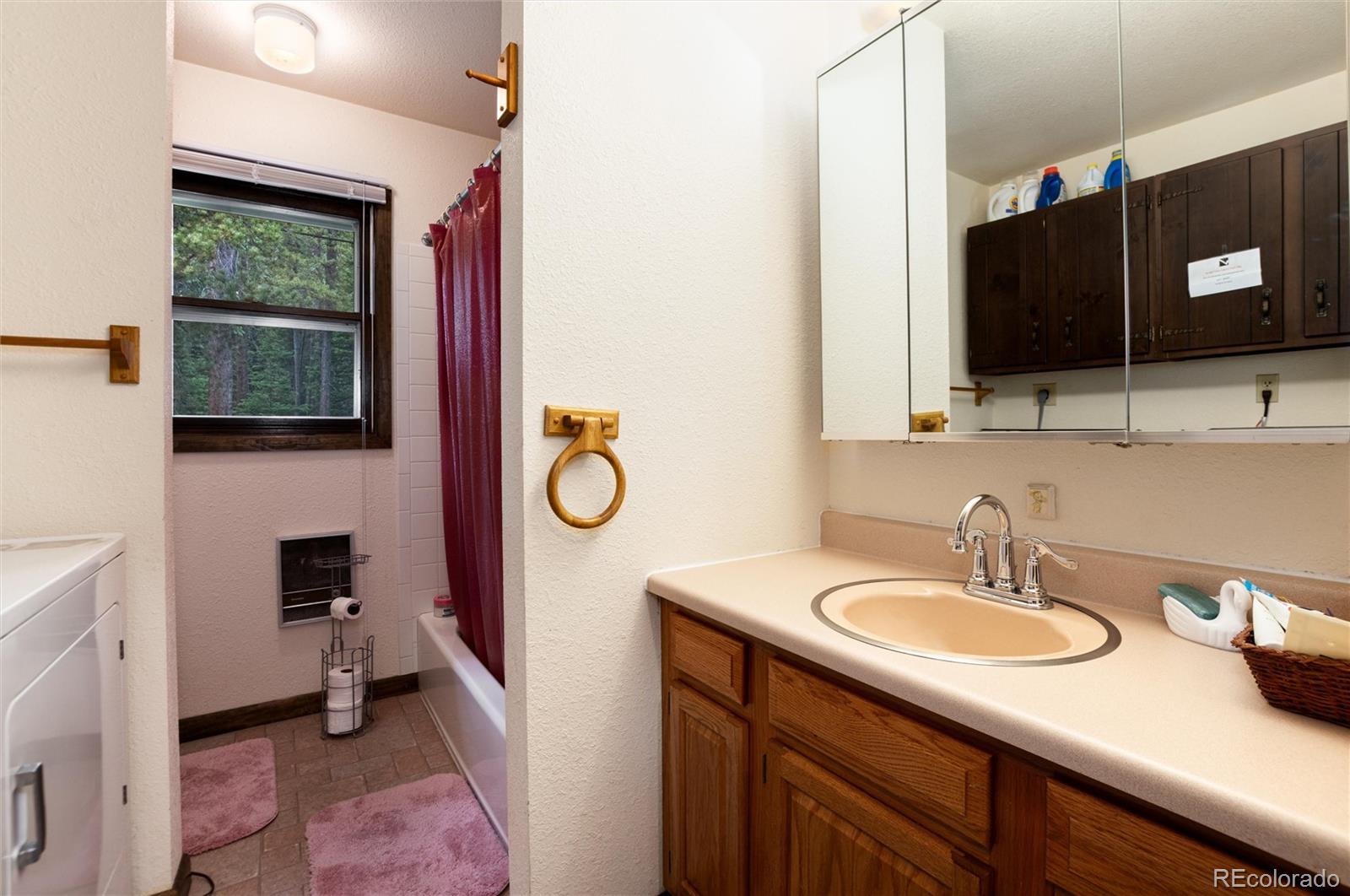 MLS Image #12 for 178  elk road,idaho springs, Colorado