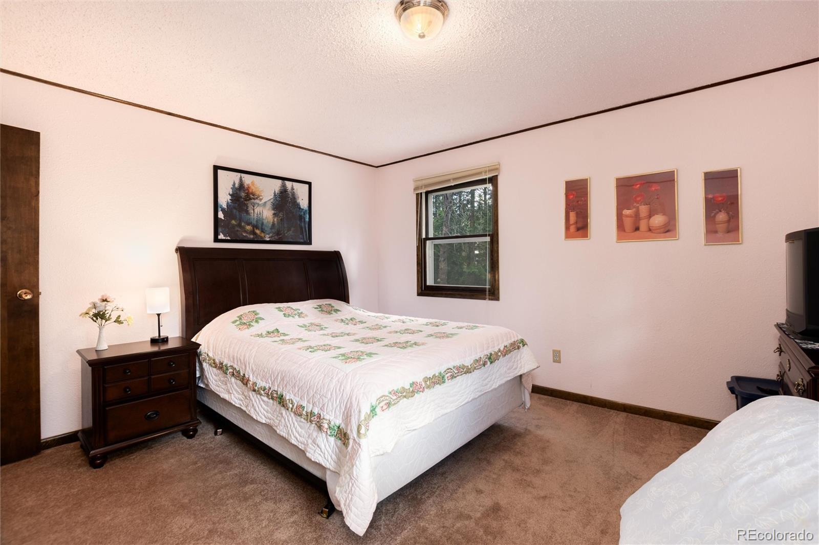 MLS Image #9 for 178  elk road,idaho springs, Colorado