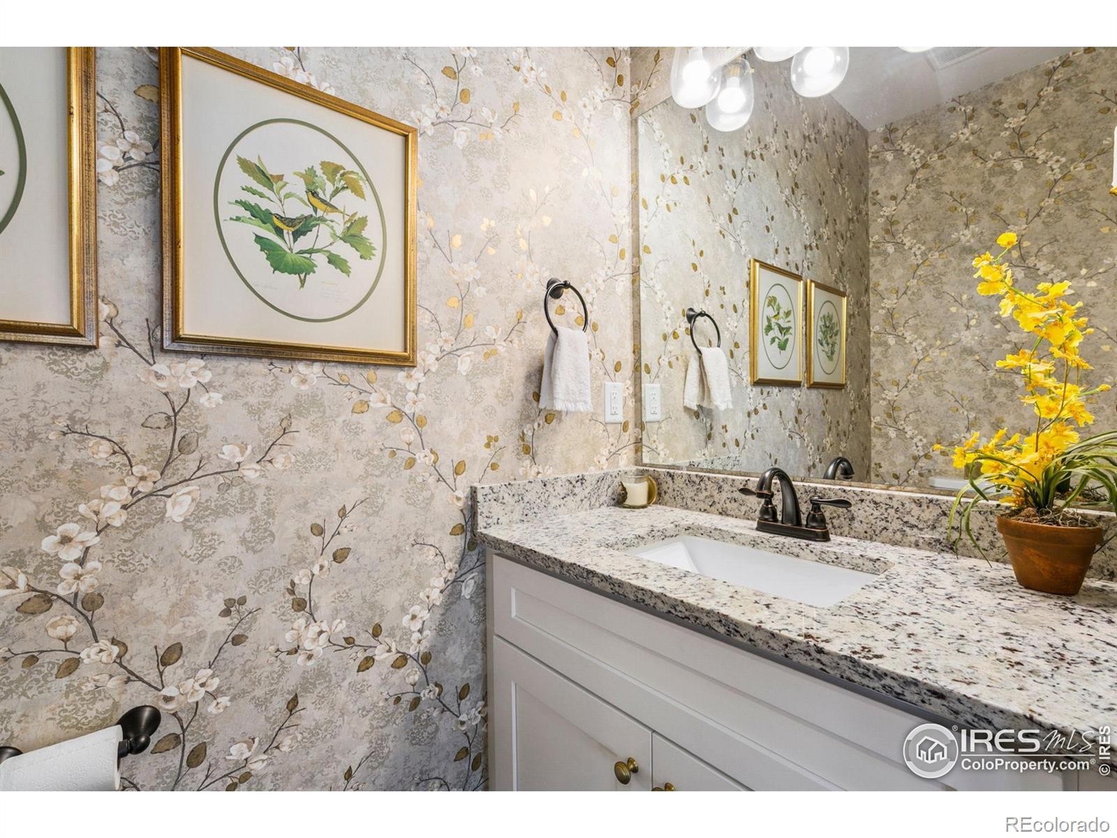 MLS Image #10 for 674  sundance drive,windsor, Colorado
