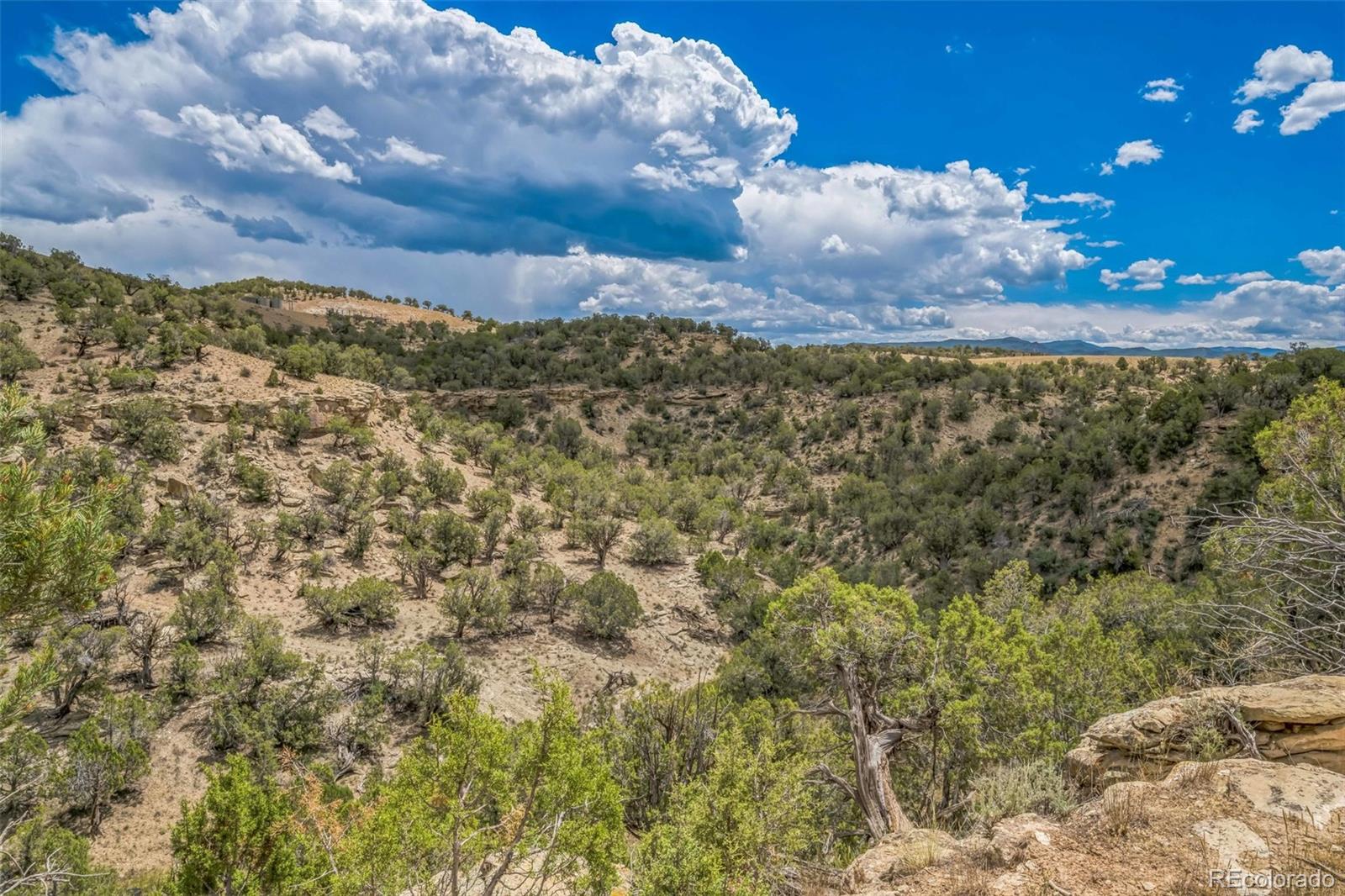 MLS Image #25 for 148  venado road,silt, Colorado