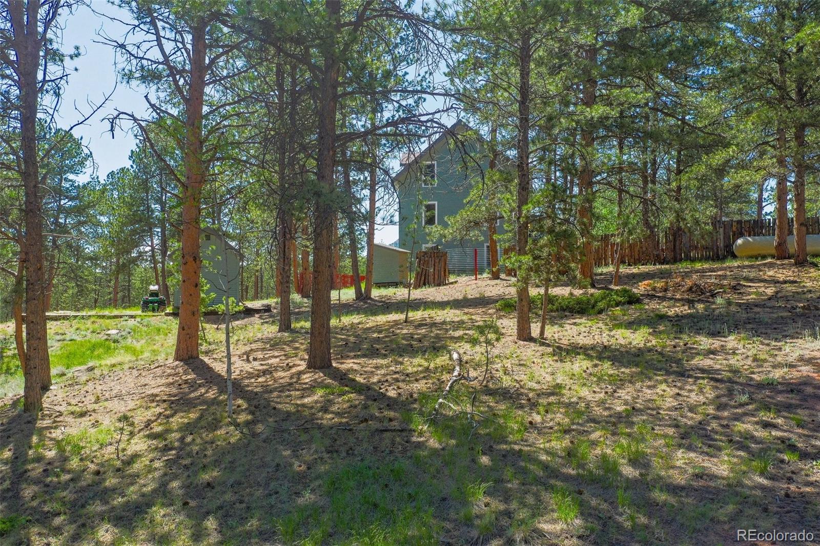 MLS Image #7 for 34  piute circle,florissant, Colorado