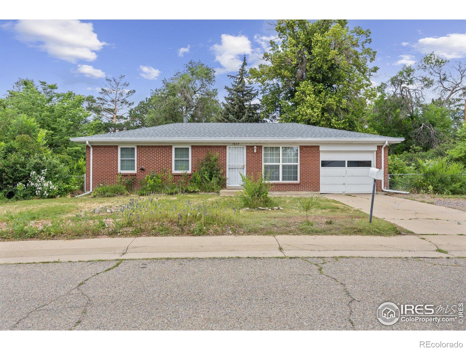 MLS Image #27 for 7637  upham court,arvada, Colorado