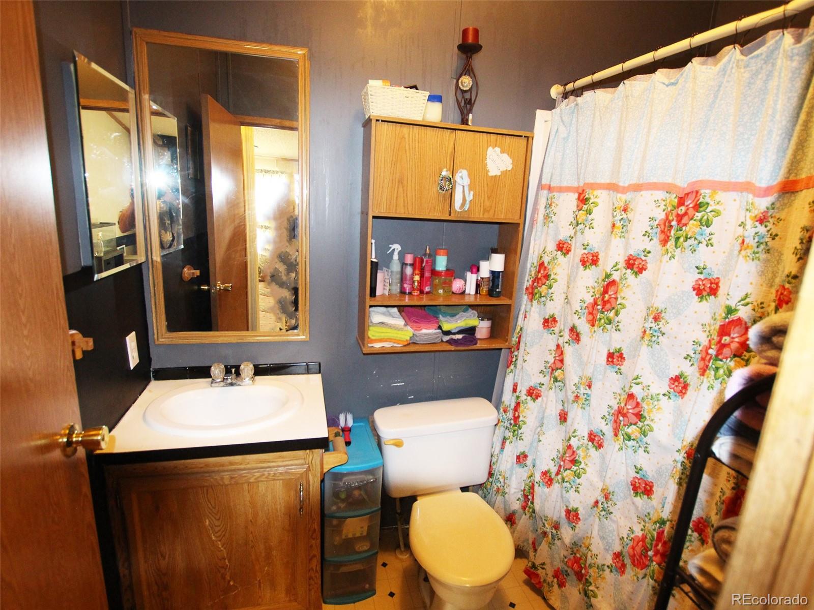 MLS Image #17 for 1130  denver avenue,saguache, Colorado