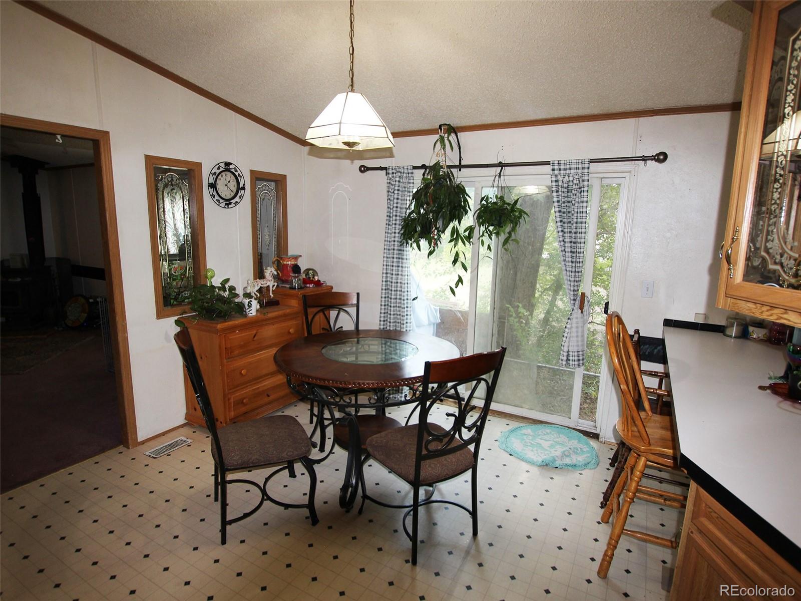 MLS Image #7 for 1130  denver avenue,saguache, Colorado