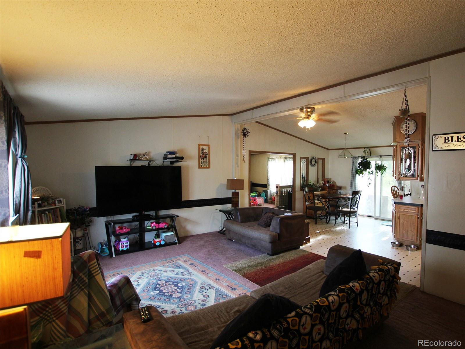 MLS Image #8 for 1130  denver avenue,saguache, Colorado