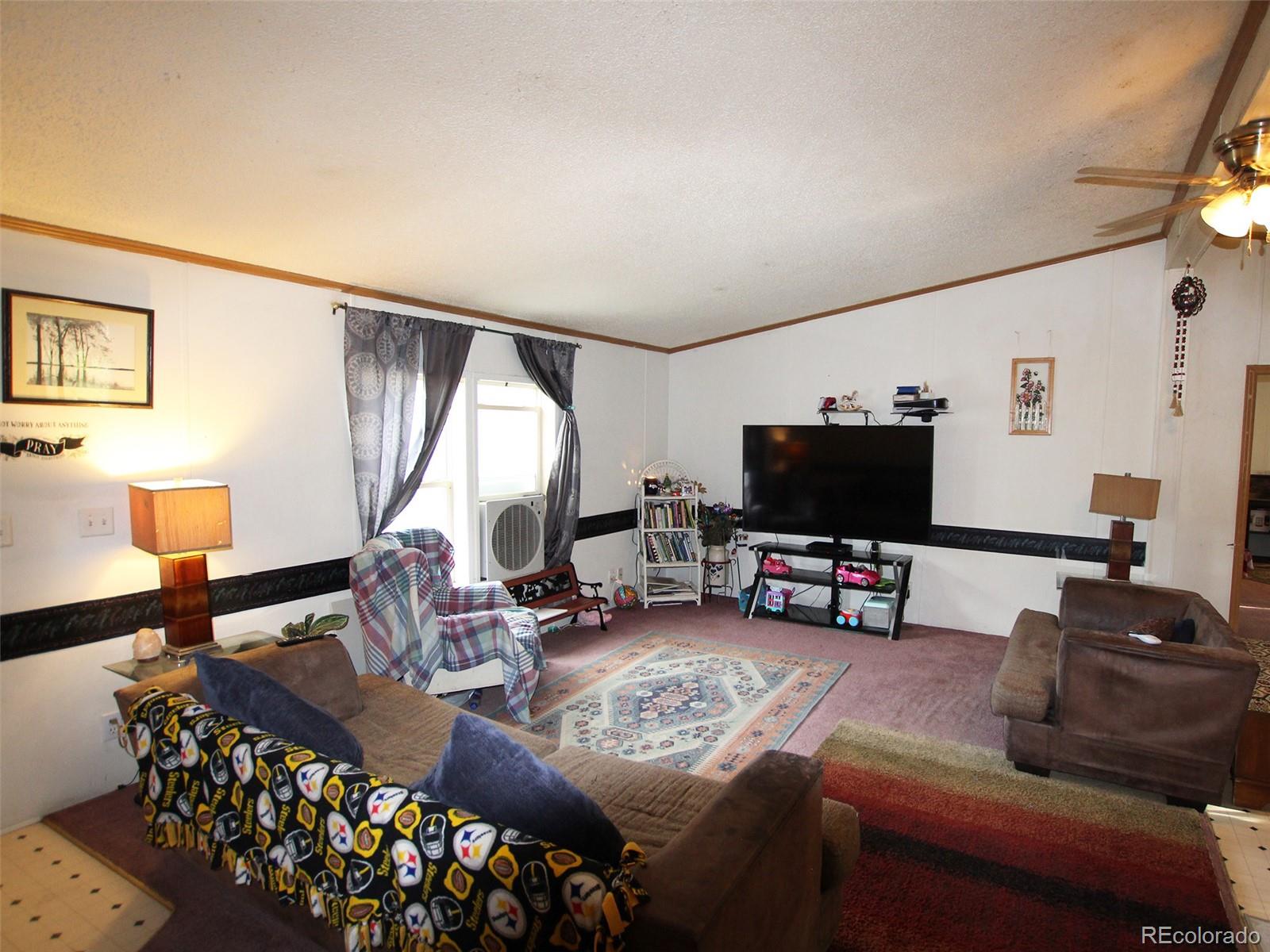 MLS Image #9 for 1130  denver avenue,saguache, Colorado