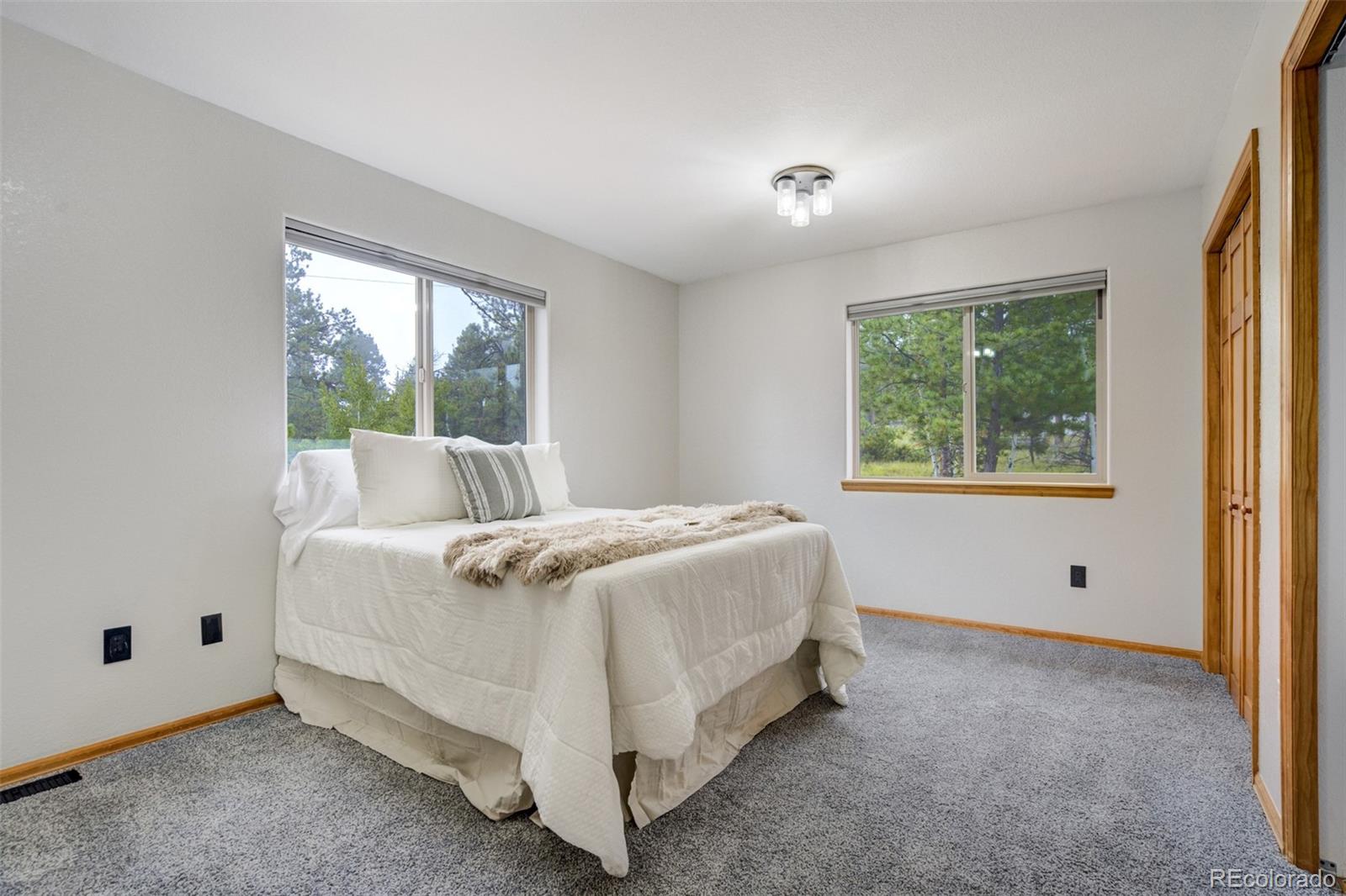 MLS Image #12 for 163  big horn lane,florissant, Colorado