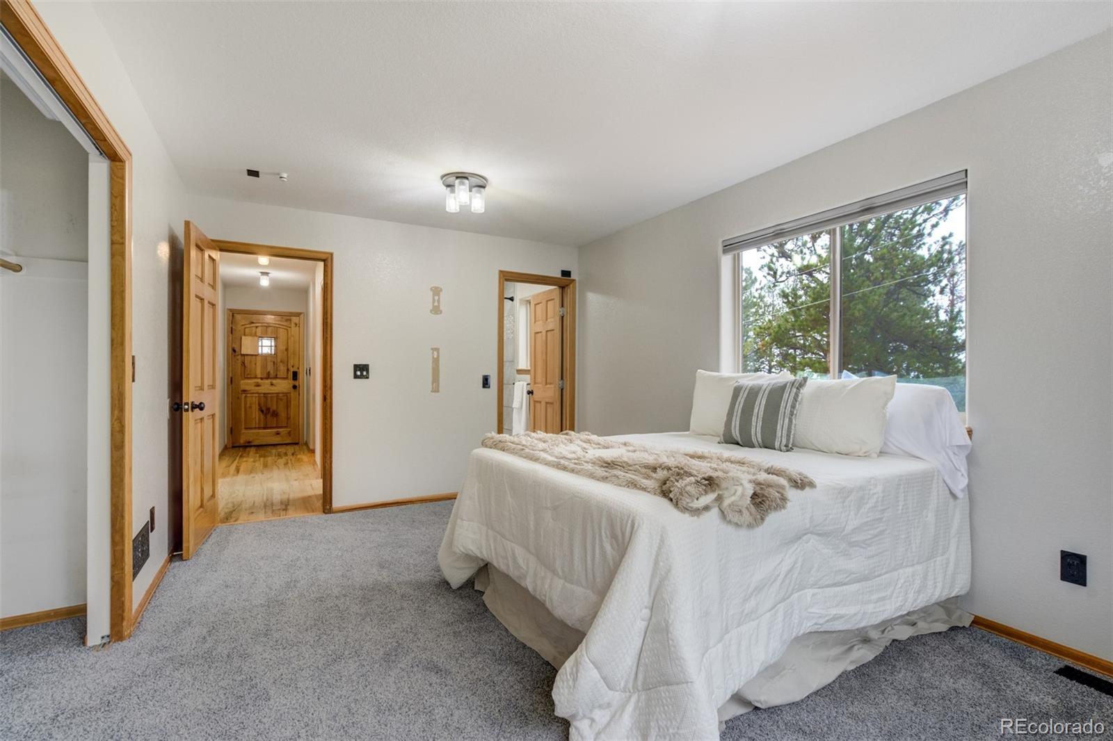 MLS Image #13 for 163  big horn lane,florissant, Colorado
