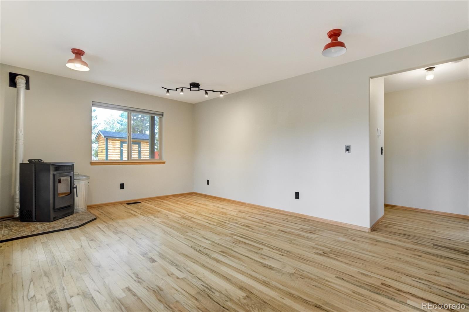 MLS Image #21 for 163  big horn lane,florissant, Colorado