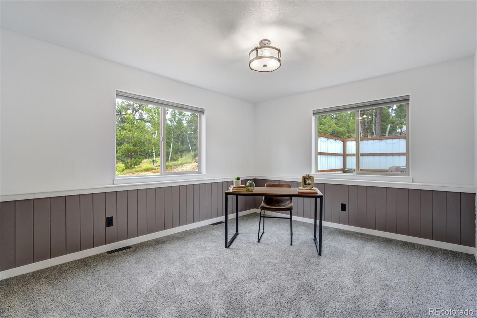 MLS Image #22 for 163  big horn lane,florissant, Colorado