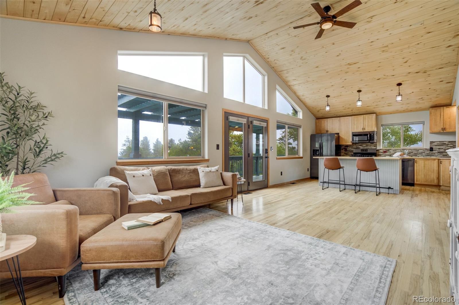 MLS Image #3 for 163  big horn lane,florissant, Colorado