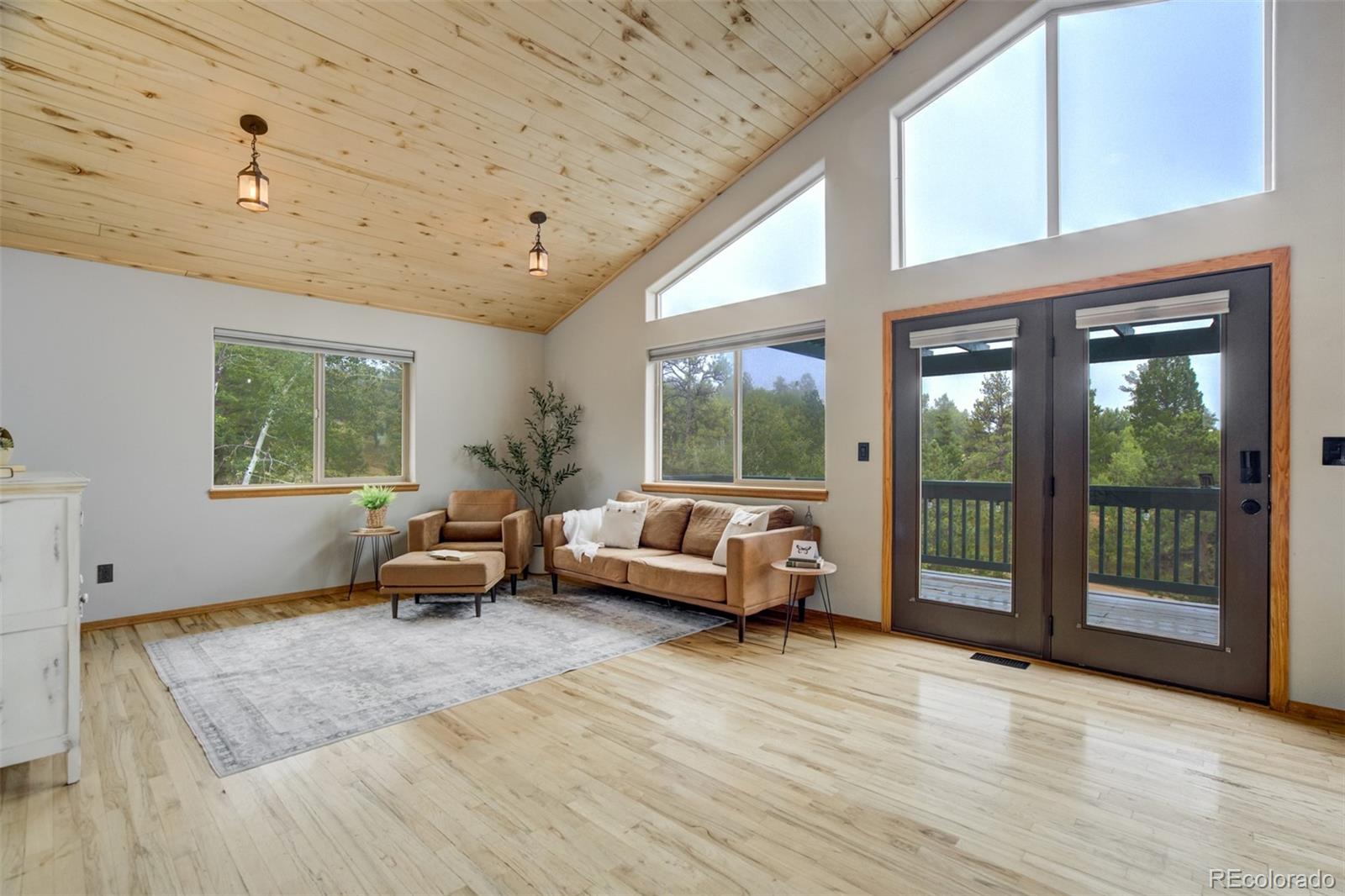 MLS Image #4 for 163  big horn lane,florissant, Colorado