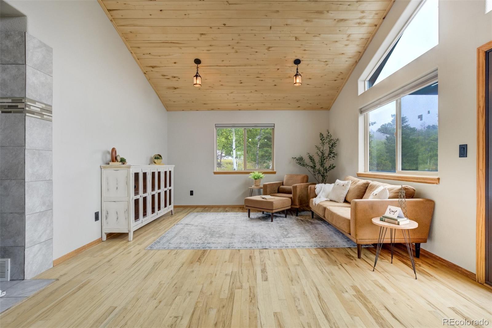 MLS Image #5 for 163  big horn lane,florissant, Colorado