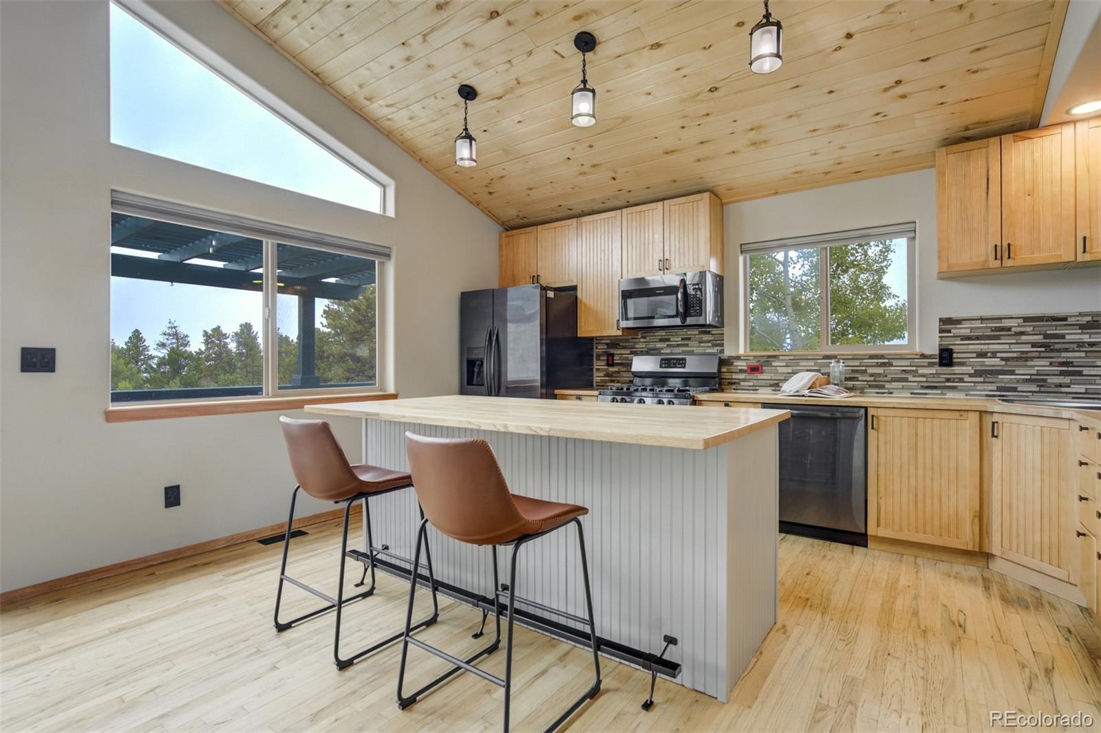 MLS Image #8 for 163  big horn lane,florissant, Colorado