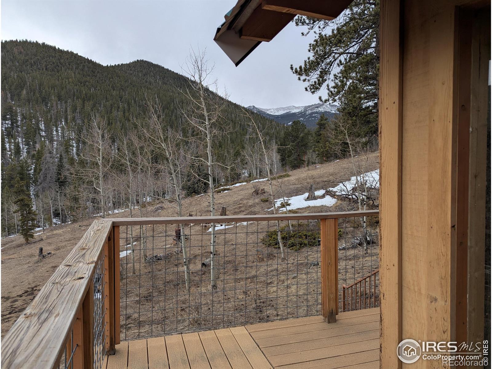 MLS Image #11 for 245  inca drive,bellvue, Colorado