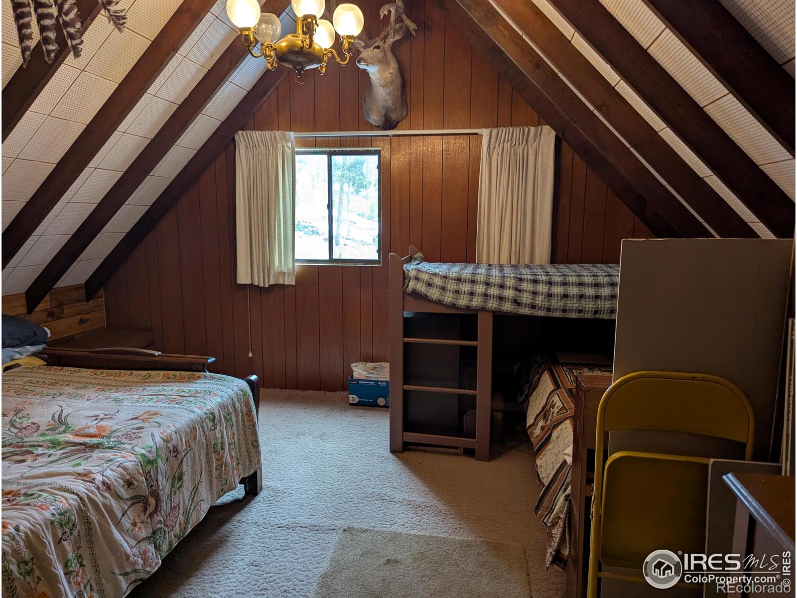 MLS Image #18 for 245  inca drive,bellvue, Colorado
