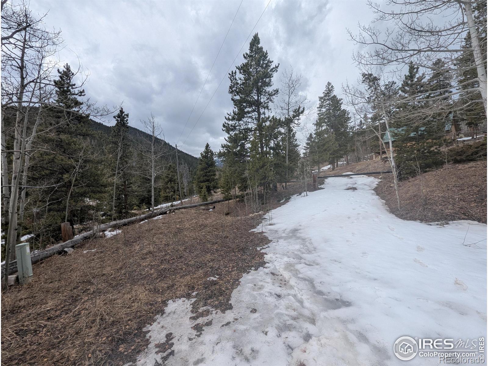 MLS Image #2 for 245  inca drive,bellvue, Colorado