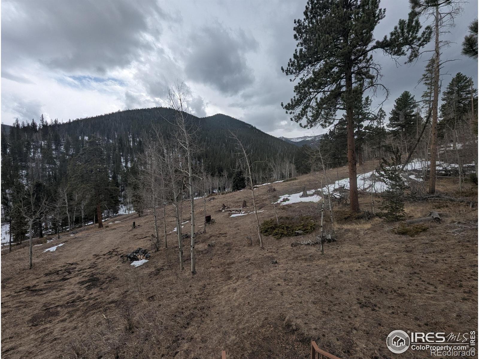 MLS Image #26 for 245  inca drive,bellvue, Colorado