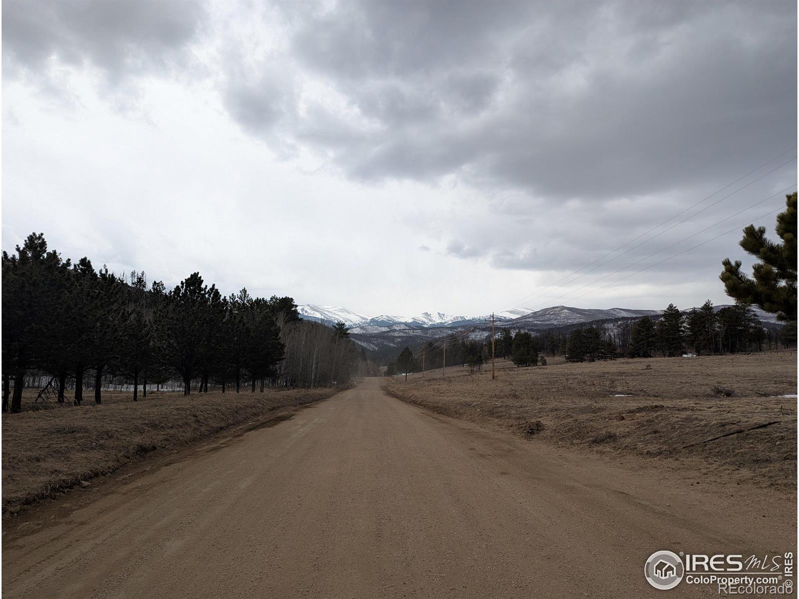 MLS Image #3 for 245  inca drive,bellvue, Colorado