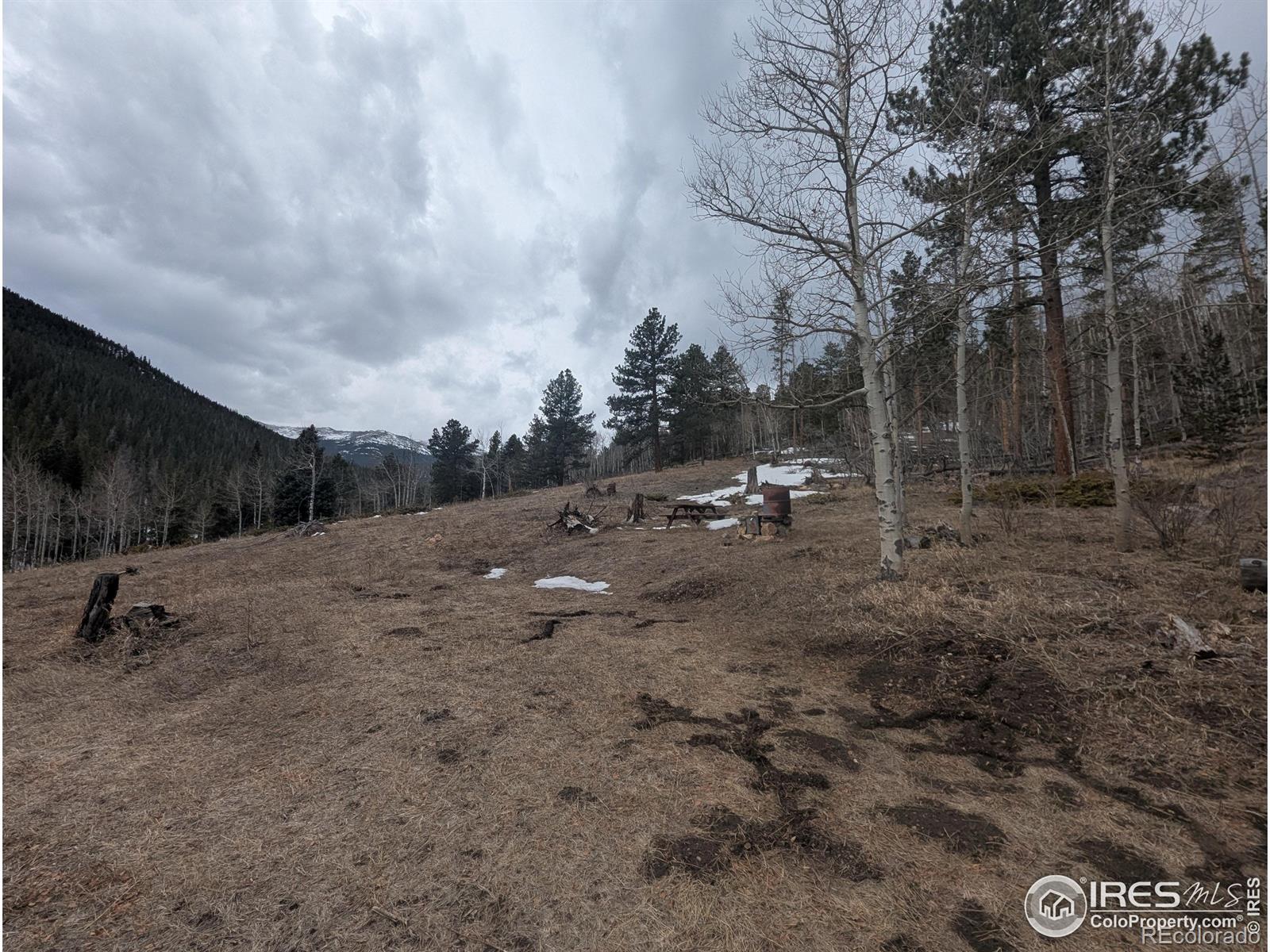MLS Image #32 for 245  inca drive,bellvue, Colorado