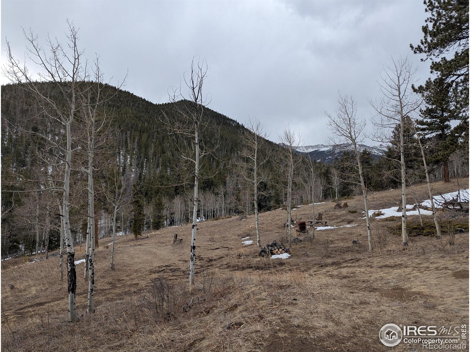 MLS Image #6 for 245  inca drive,bellvue, Colorado