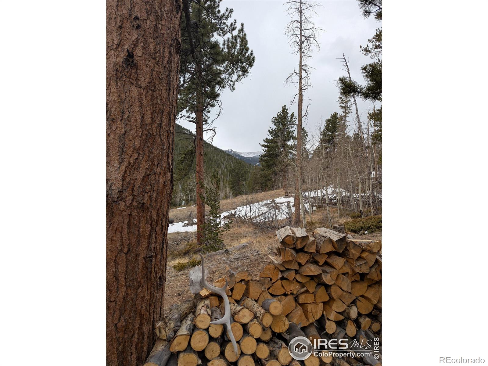 MLS Image #8 for 245  inca drive,bellvue, Colorado