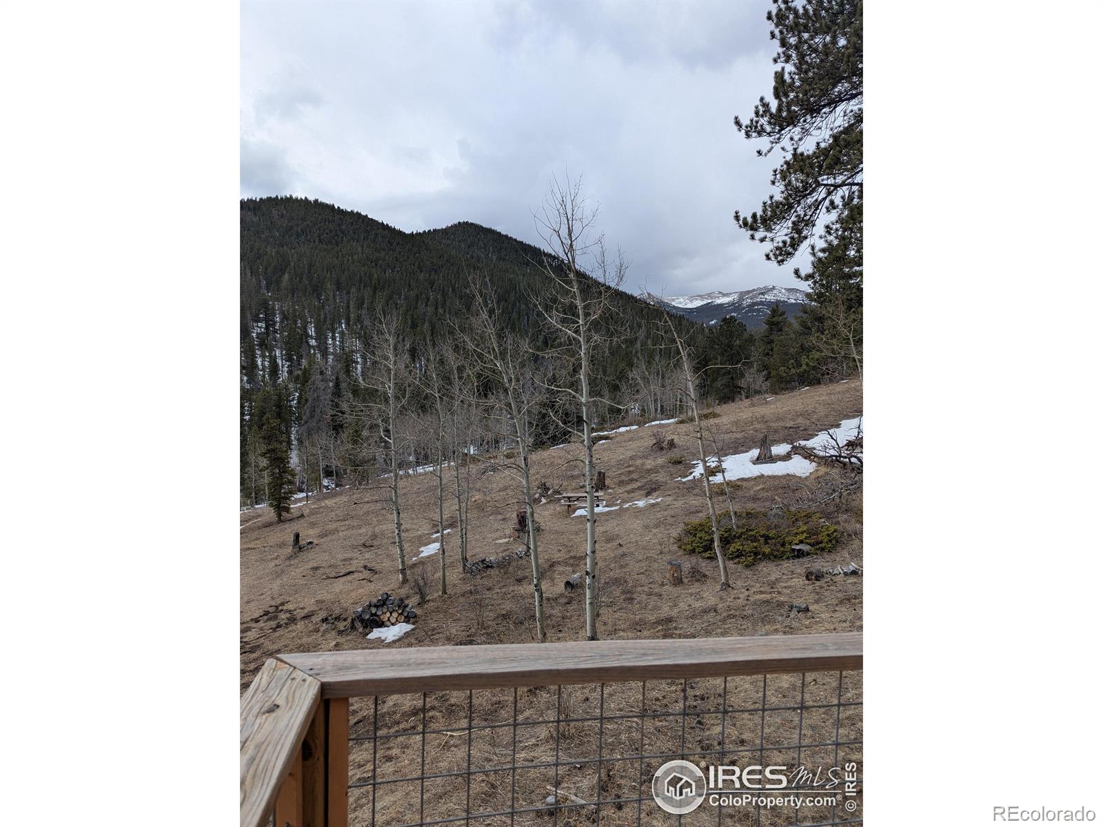 MLS Image #9 for 245  inca drive,bellvue, Colorado