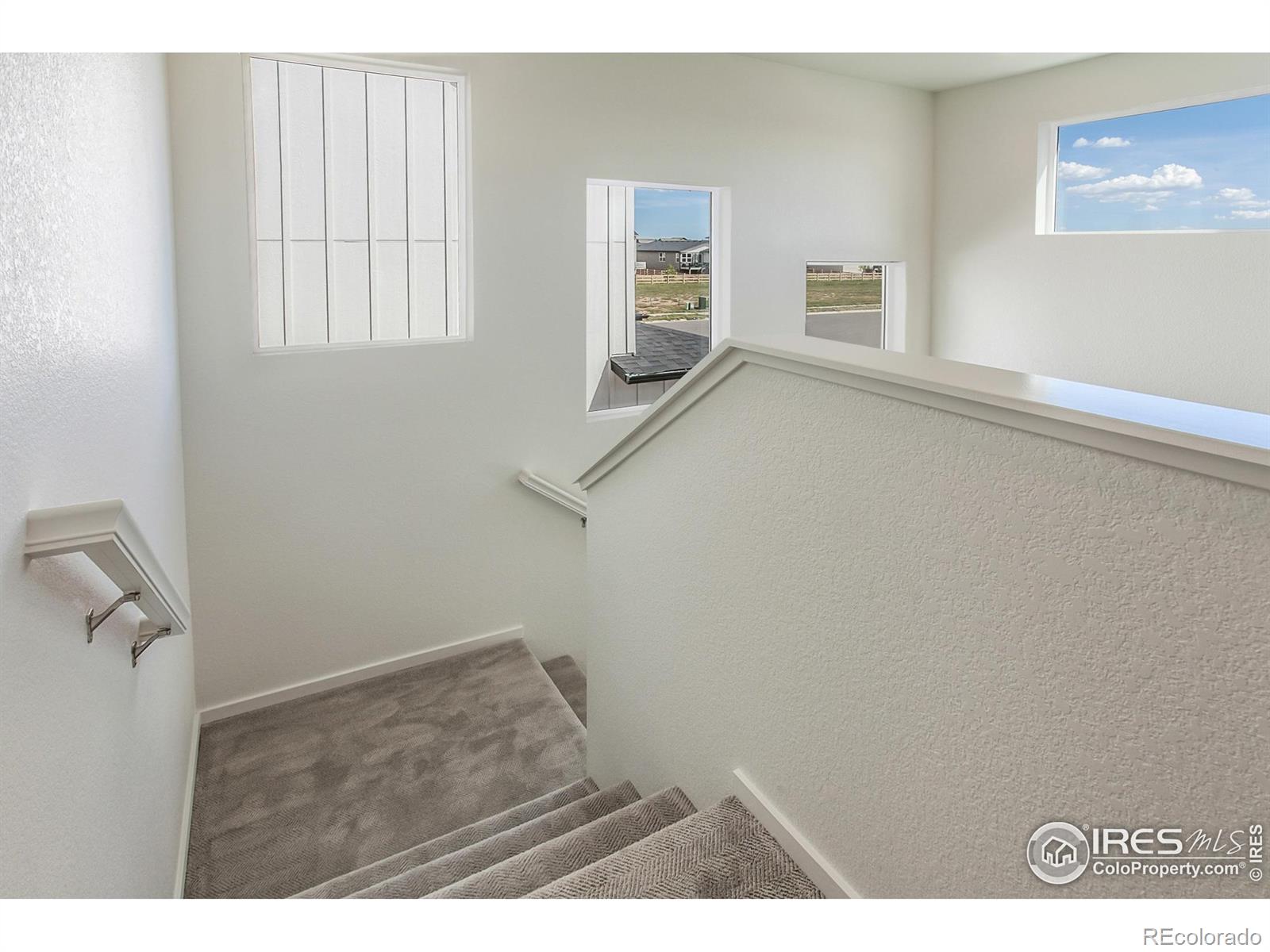 MLS Image #20 for 5409  drehle street,timnath, Colorado