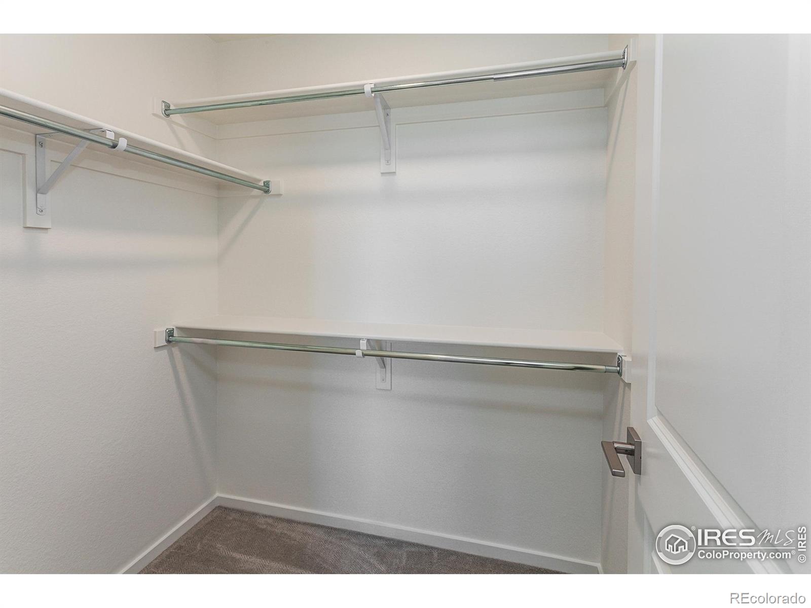 MLS Image #27 for 5409  drehle street,timnath, Colorado