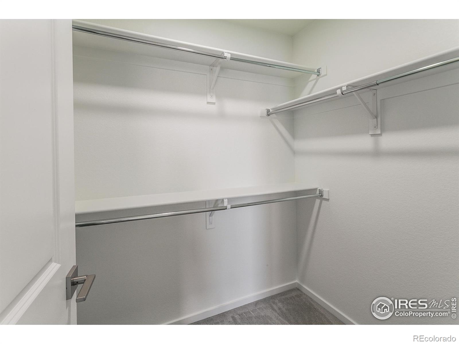 MLS Image #28 for 5409  drehle street,timnath, Colorado