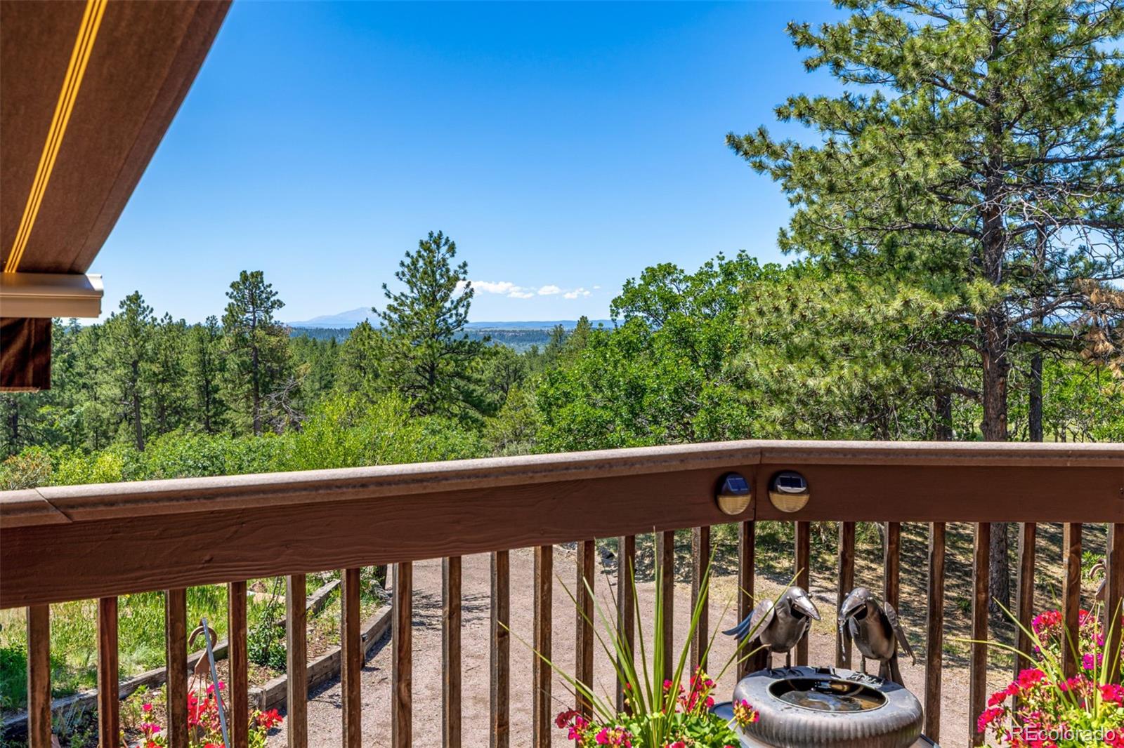 MLS Image #27 for 8223  burning tree drive,franktown, Colorado