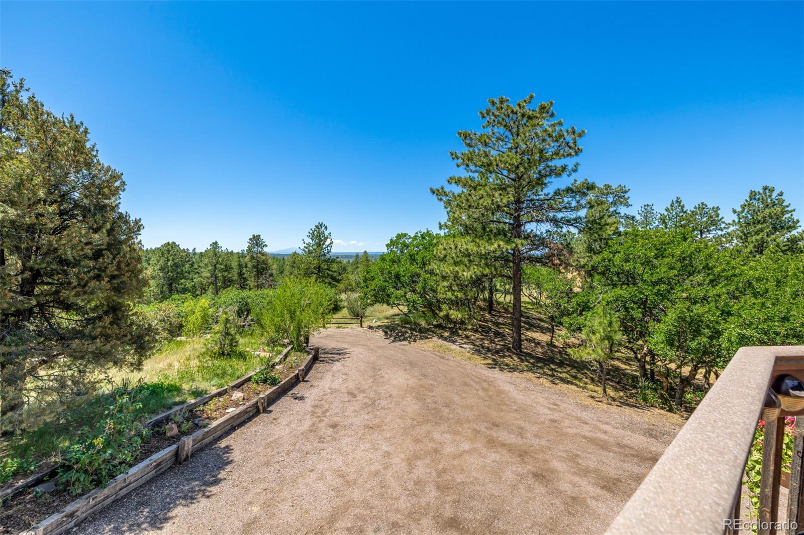 MLS Image #28 for 8223  burning tree drive,franktown, Colorado