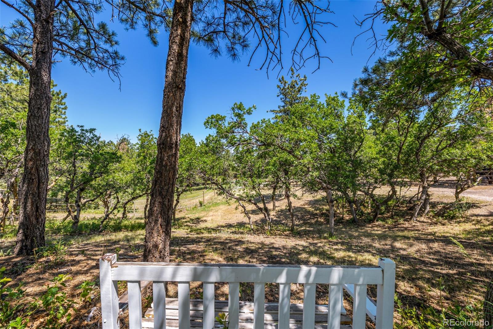 MLS Image #30 for 8223  burning tree drive,franktown, Colorado