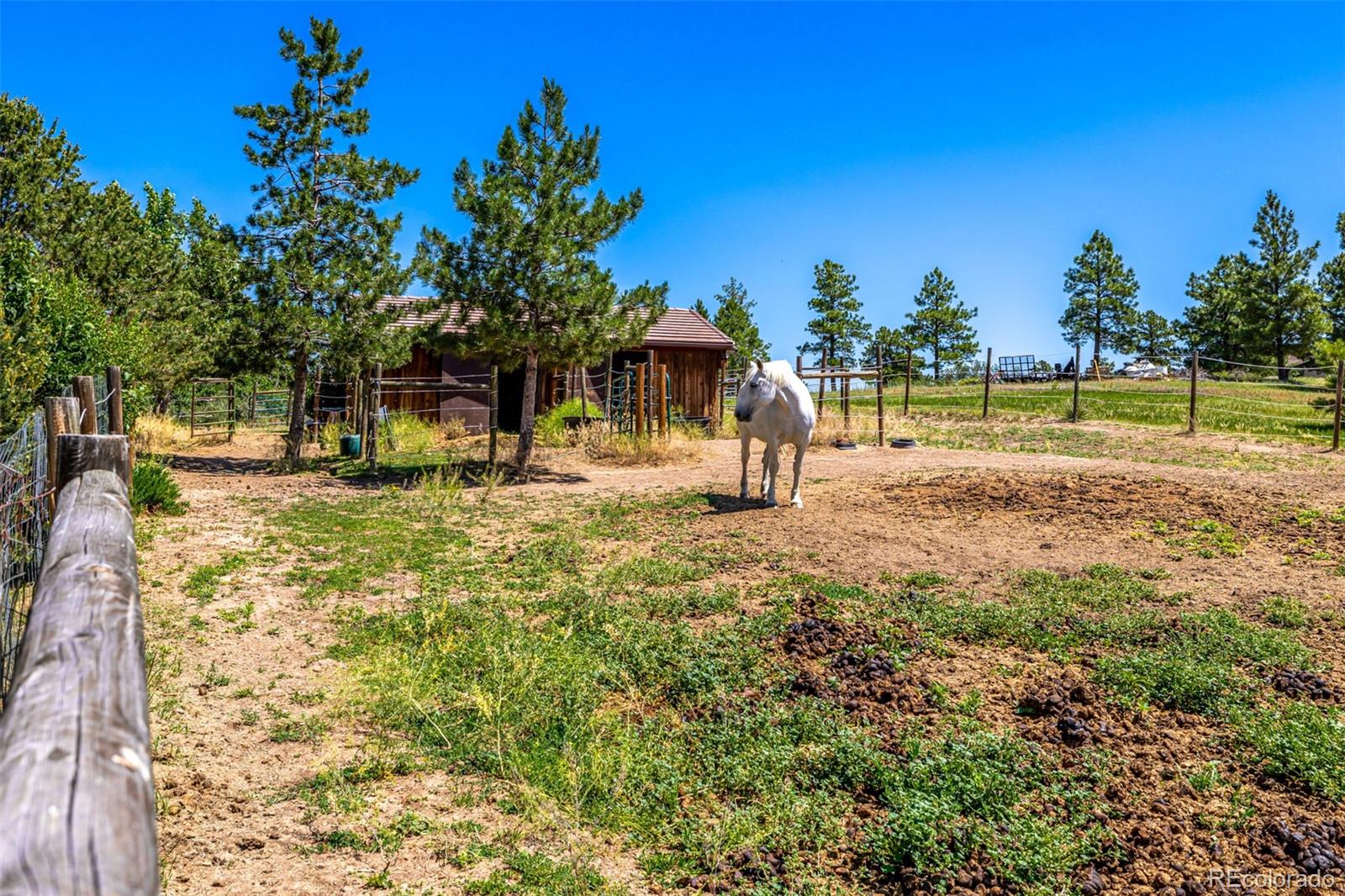 MLS Image #33 for 8223  burning tree drive,franktown, Colorado